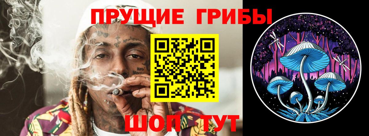Галлюциногенные грибы Psilocybine cubensis  Галлюциногенные грибы MAGIC MUSHROOMS  что такое   Вход с VPN  Казань 